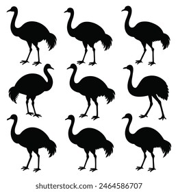 Set of Emu animal black Silhouette Vector on a white background