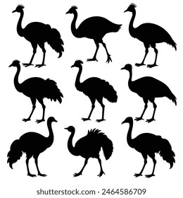 Set of Emu animal black Silhouette Vector on a white background