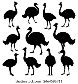 Set of Emu animal black Silhouette Vector on a white background