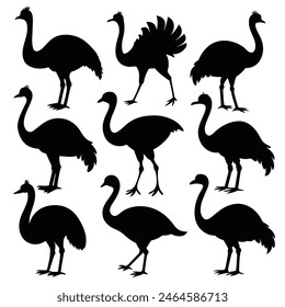 Set of Emu animal black Silhouette Vector on a white background