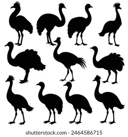 Set of Emu animal black Silhouette Vector on a white background