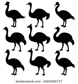 Set of Emu animal black Silhouette Vector on a white background