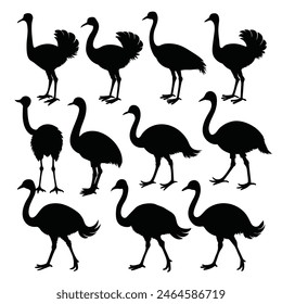 Set of Emu animal black Silhouette Vector on a white background