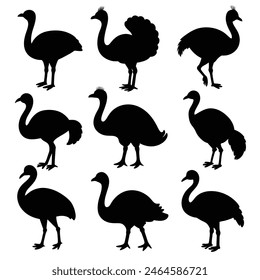 Set of Emu animal black Silhouette Vector on a white background