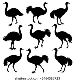 Set of Emu animal black Silhouette Vector on a white background