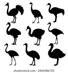 Set of Emu animal black Silhouette Vector on a white background