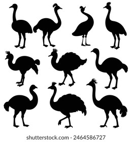 Set of Emu animal black Silhouette Vector on a white background