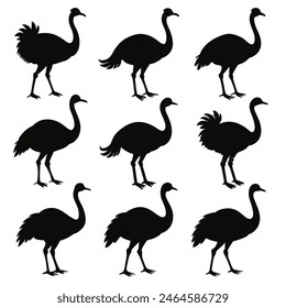 Set of Emu animal black Silhouette Vector on a white background