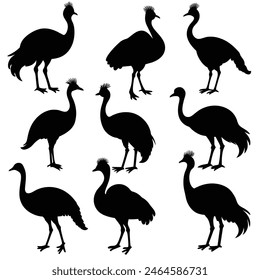 Set of Emu animal black Silhouette Vector on a white background