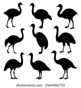 Set of Emu animal black Silhouette Vector on a white background