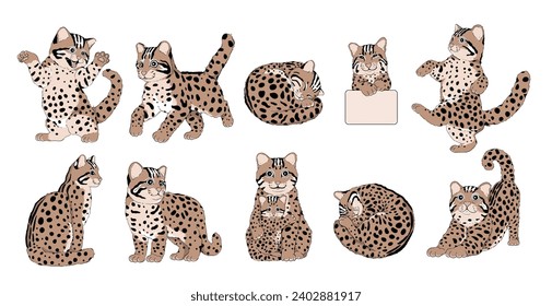 Set of Endangered Leopard Cat, an Endemic Species in Asia - Animal Character Design with Flat Colors in Various Poses, Isolated on White Background.