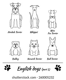 Set of English dogs black and white - part 1. Vector Illustration of six different breeds of dogs: Airedale Terrier; whippet; Wire Fox Terrier; Bull Terrier; Norwich Terrier; bulldog.