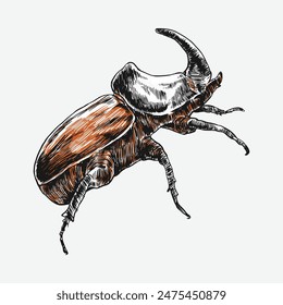 Set of engrave rhinoceros beetle. Different pose, action. Isolated on white background. Vector illustration.