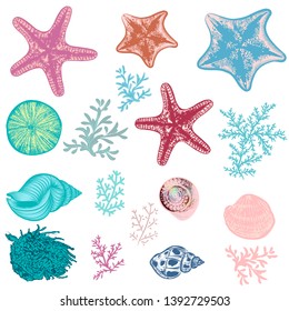 Set of engraved had drawn vector shells for design