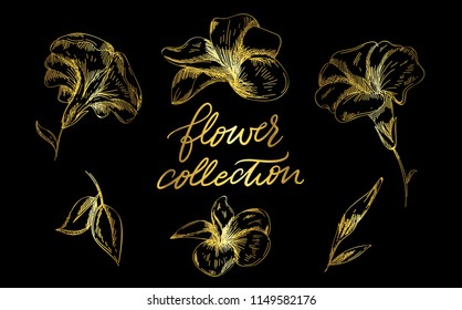 A set of engraved hand drawings in old or antique style, vintage blossoms with calligraphic elements of ornamental flowers. Logo or emblems, retro label and badge. Ornaments and monograms.