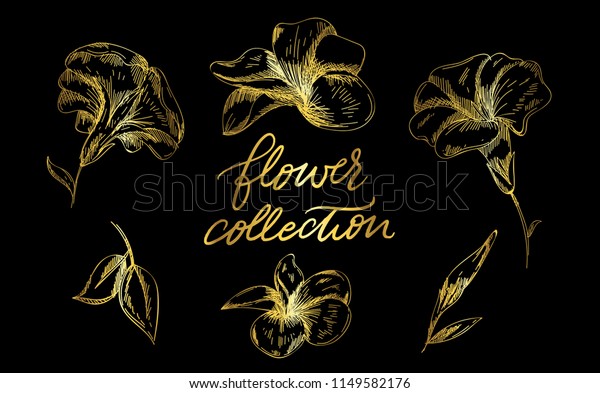A set of engraved hand drawings in old or
antique style, vintage blossoms with calligraphic elements of
ornamental flowers. Logo or emblems, retro label and badge.
Ornaments and monograms.