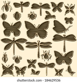 Set of engraved silhouettes of insects