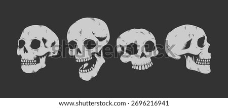 Set of engraved skull faces, Vintage vector illustration.