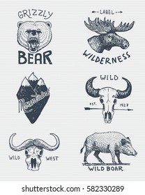 set of engraved vintage, hand drawn, old, labels or badges for camping, hiking, hunting with grizzly bear, moose, mountain peak skull of buffalo and wild pig, boar