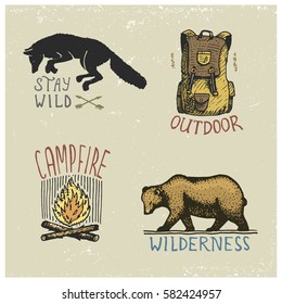 set of engraved vintage, hand drawn, old, labels or badges for camping, hiking, hunting with wild wolf, grizzly bear, capmfire, backpack bag.