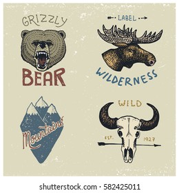 set of engraved vintage, hand drawn, old, labels or badges for camping, hiking, hunting with moose face, grizzly bear, mountain peaks and buffalo skull