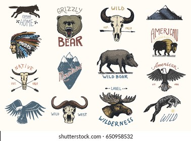 set of engraved vintage, hand drawn, old, labels or badges for camping, hiking, hunting with boar, bear and wolf, red fox . skull and bald eagle, moose face, indian or native american. buffalo