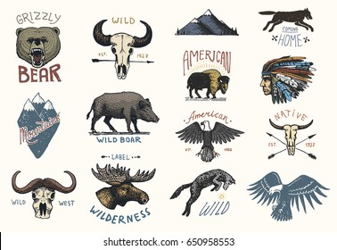 set of engraved vintage, hand drawn, old, labels or badges for camping, hiking, hunting with boar, bear and wolf, red fox . skull and bald eagle, moose face, indian or native american. buffalo.