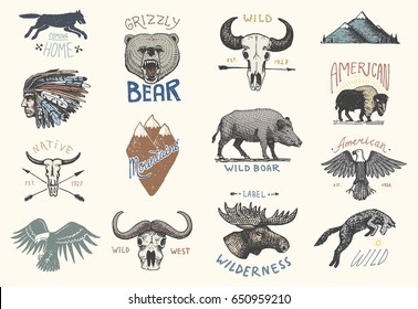 set of engraved vintage, hand drawn, old, labels or badges for camping, hiking, hunting with boar, bear and wolf, red fox . skull and bald eagle, moose face, indian or native american. buffalo