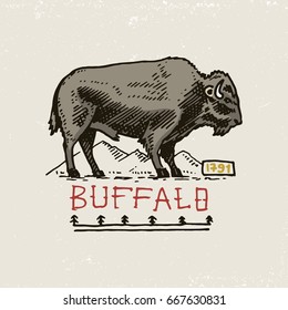 set of engraved vintage, hand drawn, old, labels or badges for indian or native american. buffalo.