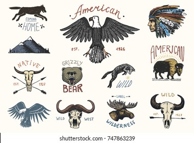 set of engraved vintage, hand drawn, old, labels or badges for camping, hiking, hunting with boar, bear and wolf, red fox . skull and bald eagle, moose face, indian or native american. buffalo