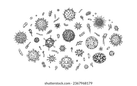 Set of engraved viruses and bacteria isolated on white background. Different types of microscopic microorganisms. Vector illustration in sketch style