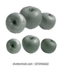 Set of Engraving Apples Isolated on White. Vector Retro Illustration