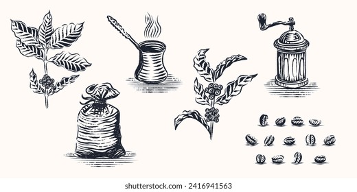 set of Engraving coffee illustration premium
