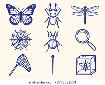 A set of entomological illustrations including a butterfly, beetles, dragonfly, spiderweb, magnifying glass, net, pin, and insect display box, all in a consistent line art style.