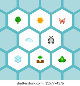 Set of environment icons flat style symbols with butterfly, snowflake, green power and other icons for your web mobile app logo design.