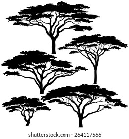 Set Of Eps8 Editable Vector Silhouettes Of Acacia Trees