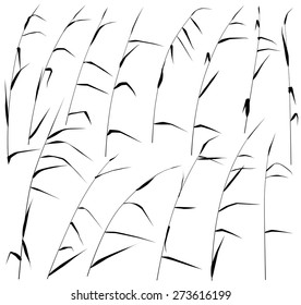 Set of eps8 editable vector silhouettes of reeds