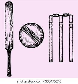 Set of equipment for cricket: bat, ball, wicket, doodle style, sketch illustration, hand drawn, vector