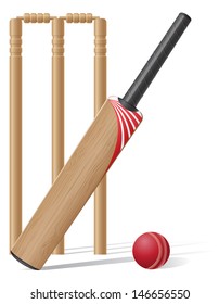 set equipment for cricket vector illustration isolated on white background