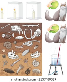 Set of equipment needed for science experiment illustration