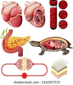 Set of equipment needed for science experiment illustration