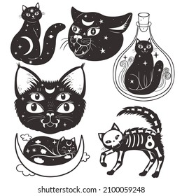 Set of esoteric cats isolated on a white background. Vector graphics.