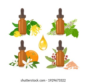 Set of essential oil in amber glass dropper bottle isolated on white. Sandalwood and fragrant flowers of patchouli, Ylang-ylang, Neroli. Vector illustration in cartoon flat style.