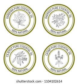 Set of essential oil labels. Hand drawn vector illustration