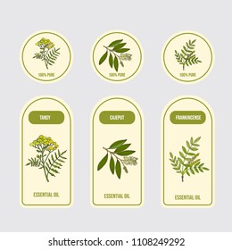Set of essential oil labels. Hand drawn vector illustration