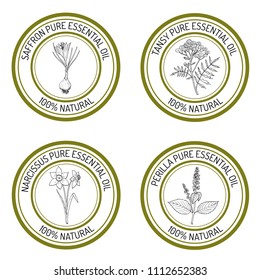 Set of essential oil labels. Hand drawn vector illustration