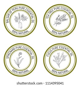 Set of essential oil labels. Hand drawn vector illustration