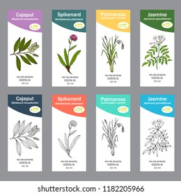 Set of essential oil labels. Hand drawn vector illustration