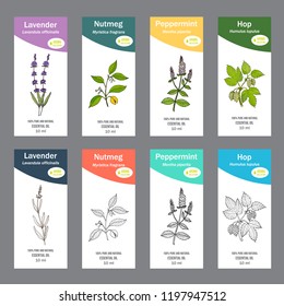 Set of essential oil labels. Hand drawn vector illustration