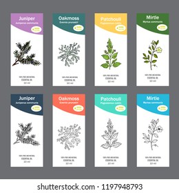 Set of essential oil labels. Hand drawn vector illustration